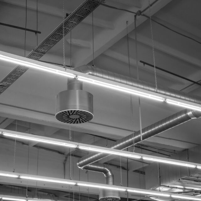 AdobeStock_439442962